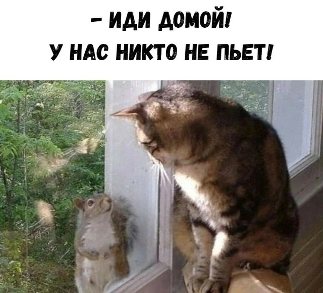 Подпишись на юмор 😂