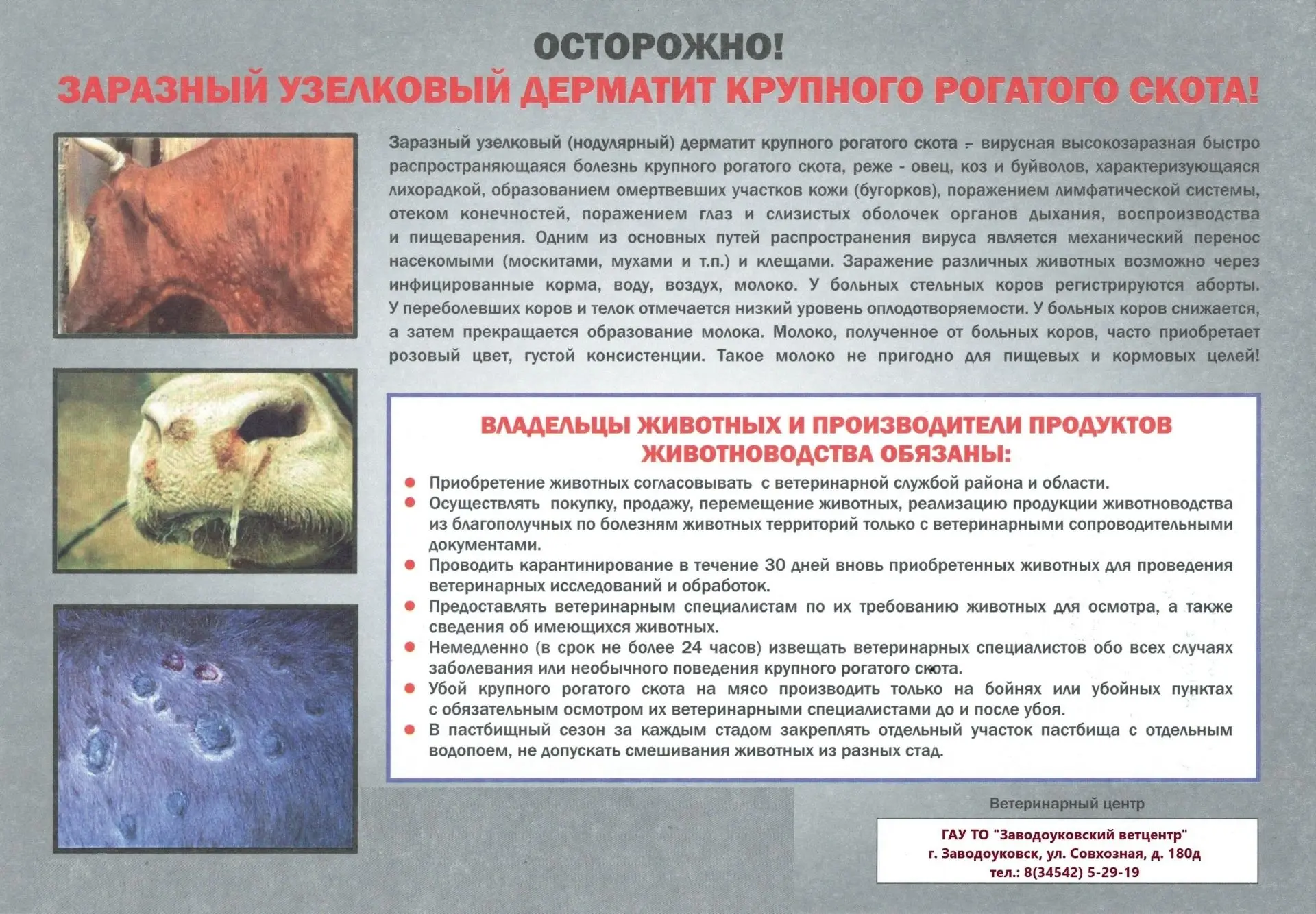 📌Памятка для населения по заразному узелковому дерматиту (ЗУД) крупного рогатого скота🐄
 
📝В памя