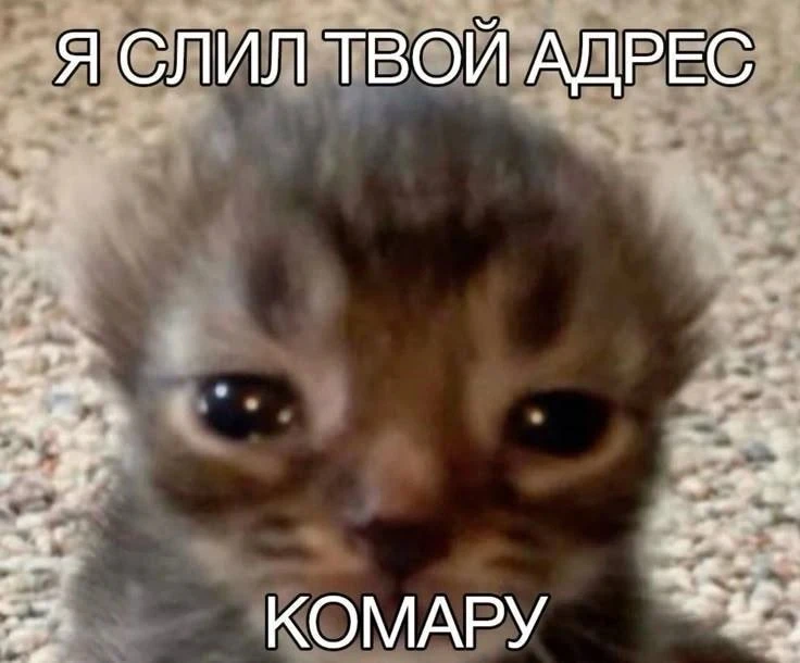 Доброе утро!
