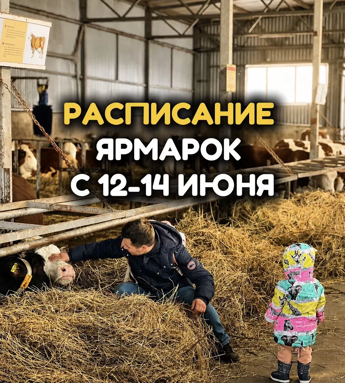 РАСПИСАНИЕ ЯРМАРОК С 12–14 ИЮНЯ НА ИСТРИНСКОЙ СЫРОВАРНЕ ОЛЕГА И ТАТЬЯНЫ СИРОТЫ!


🎉 12 июня отметим