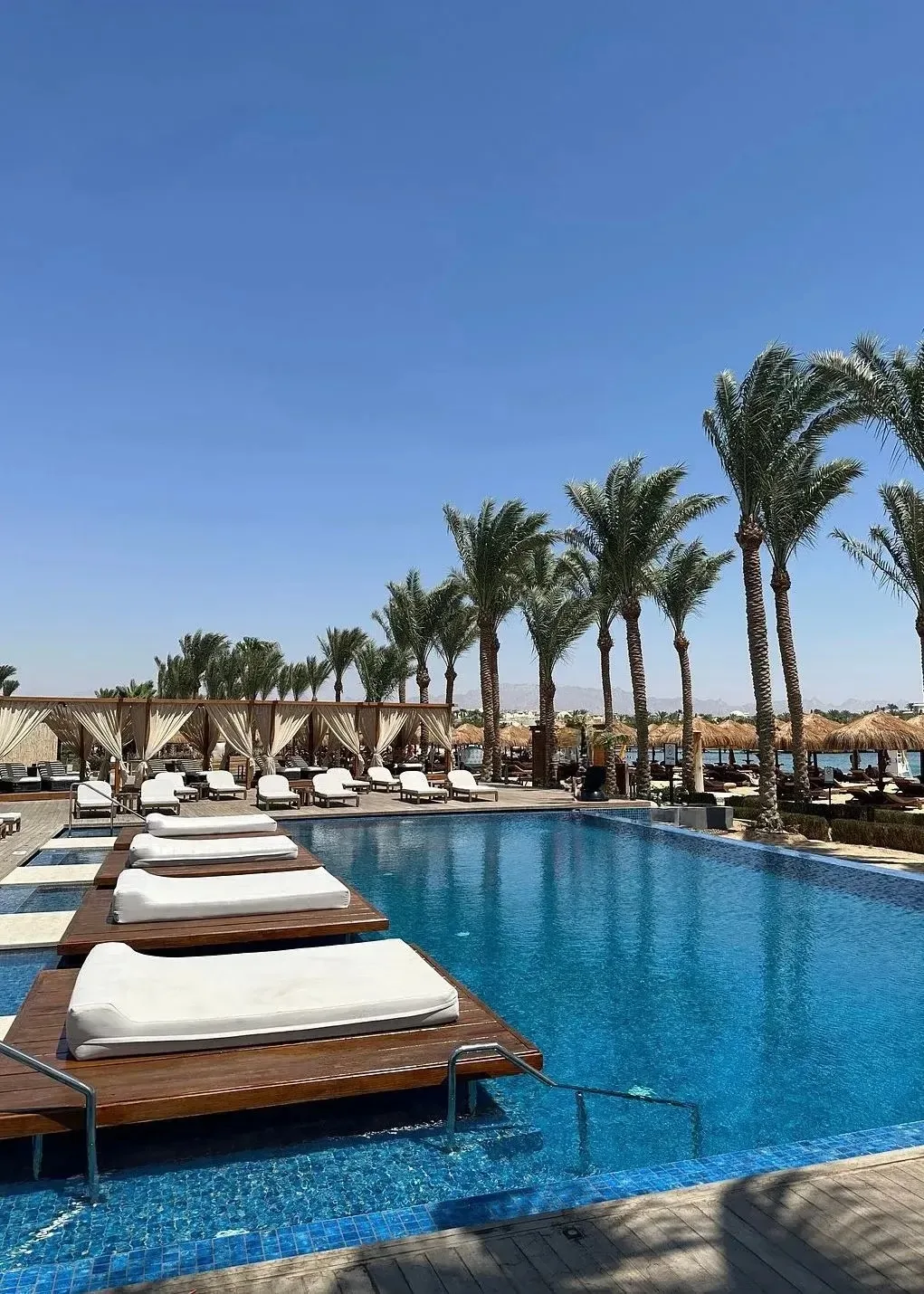 РОДИТЕЛИ, Я НАШЛА ВАМ ОТЕЛЬ В ЕГИПТЕ ДЛЯ ОТДЫХА С ДЕТЬМИ!🇪🇬

🏨 SUNRISE Tucana Resort 5* — практич