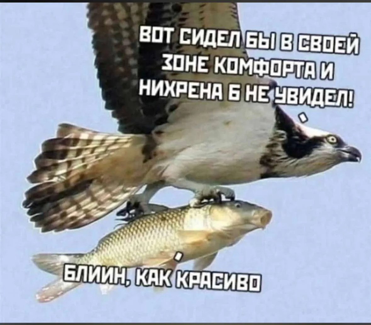 Помогите с выбором, о чем вам сегодня рассказать:

❤️ - чем вреден растворимый кофе
🔥 - про маркети