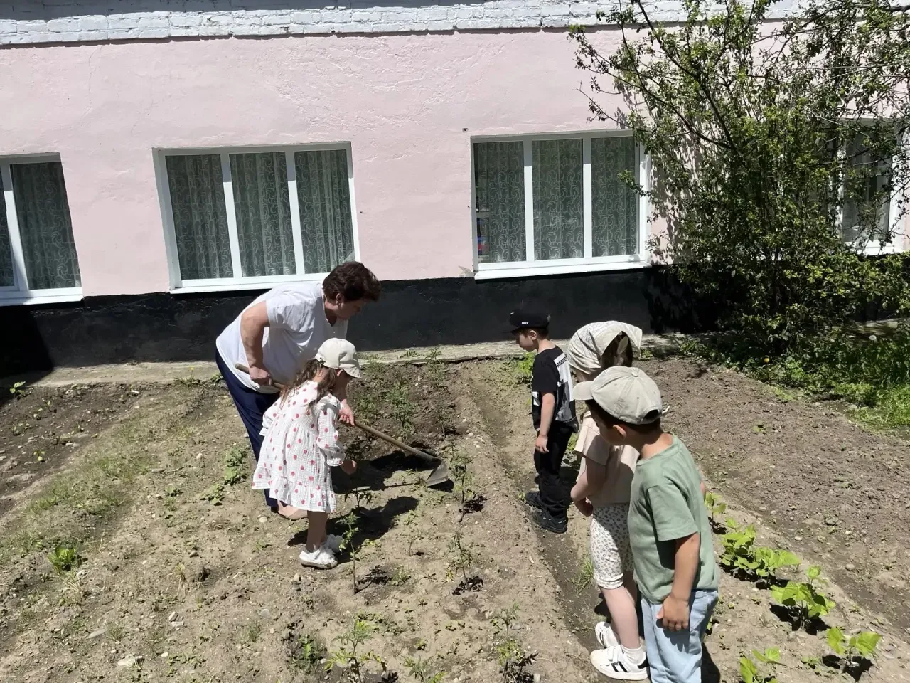 Сегодня у ребят группы « Ромашка» была не просто прогулка, а настоящая работа в огороде! Ребята сред