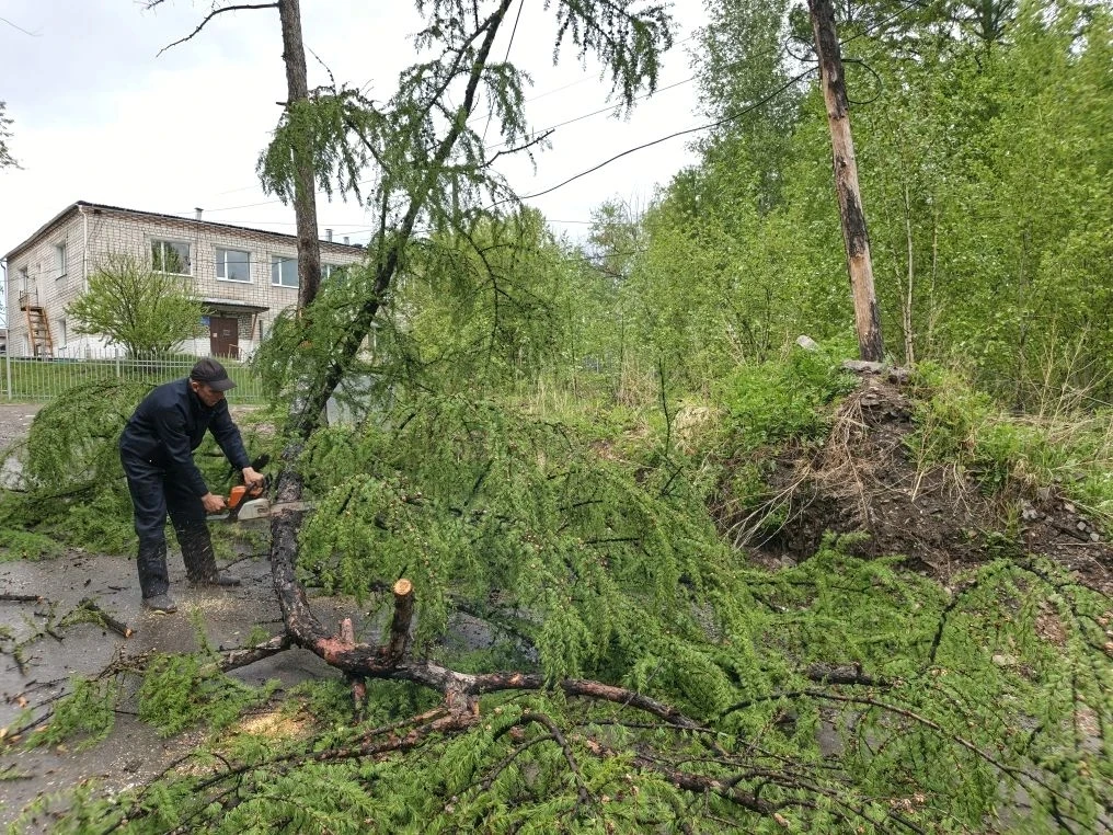 Сегодня на территории Сковородинского округа бушевала непогода.

После сильного ураганного ветра с д