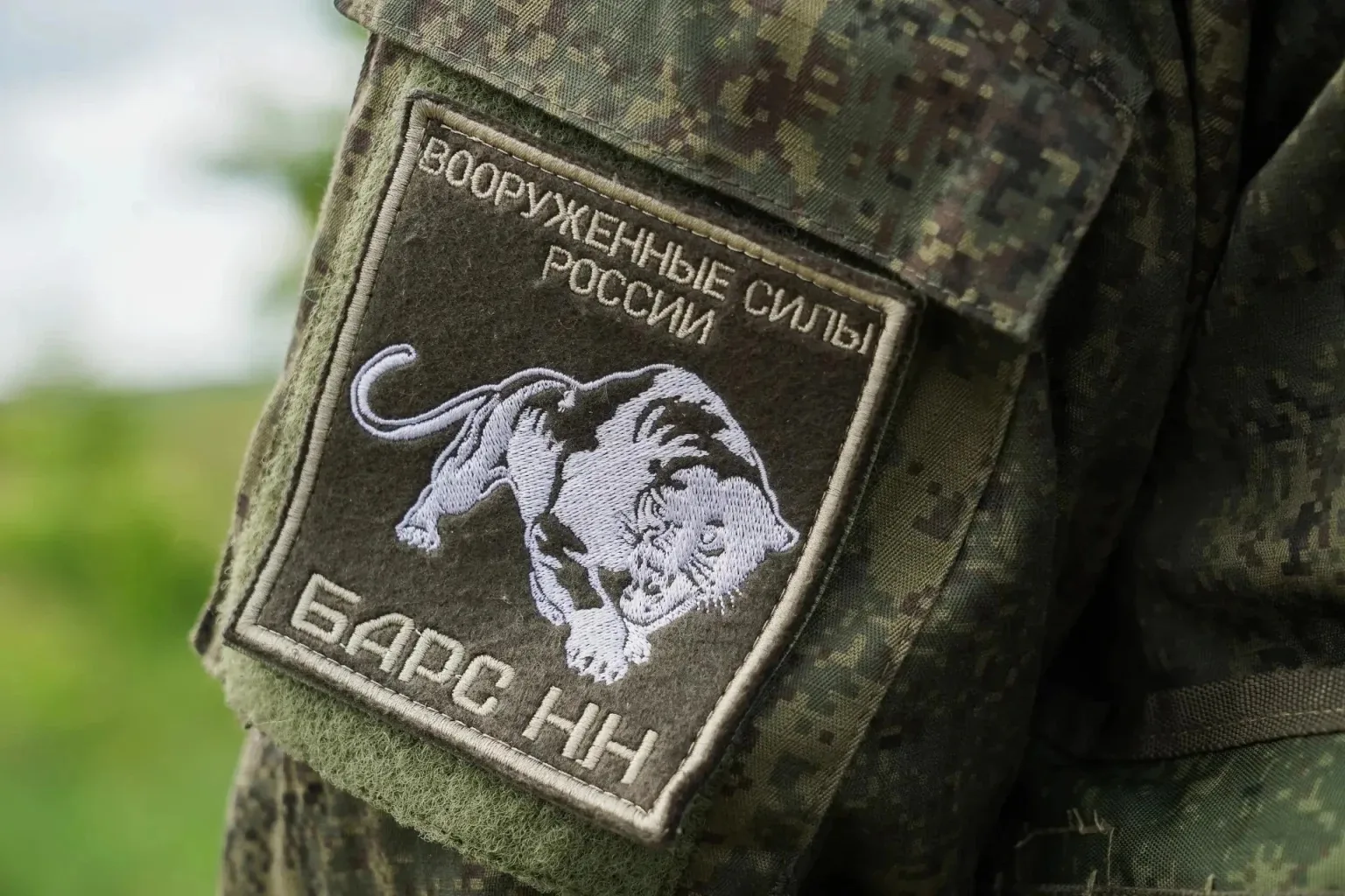Дополнительные выплаты резервистам «БАРС-НН» установлены в Нижегородской области

В Нижегородской об