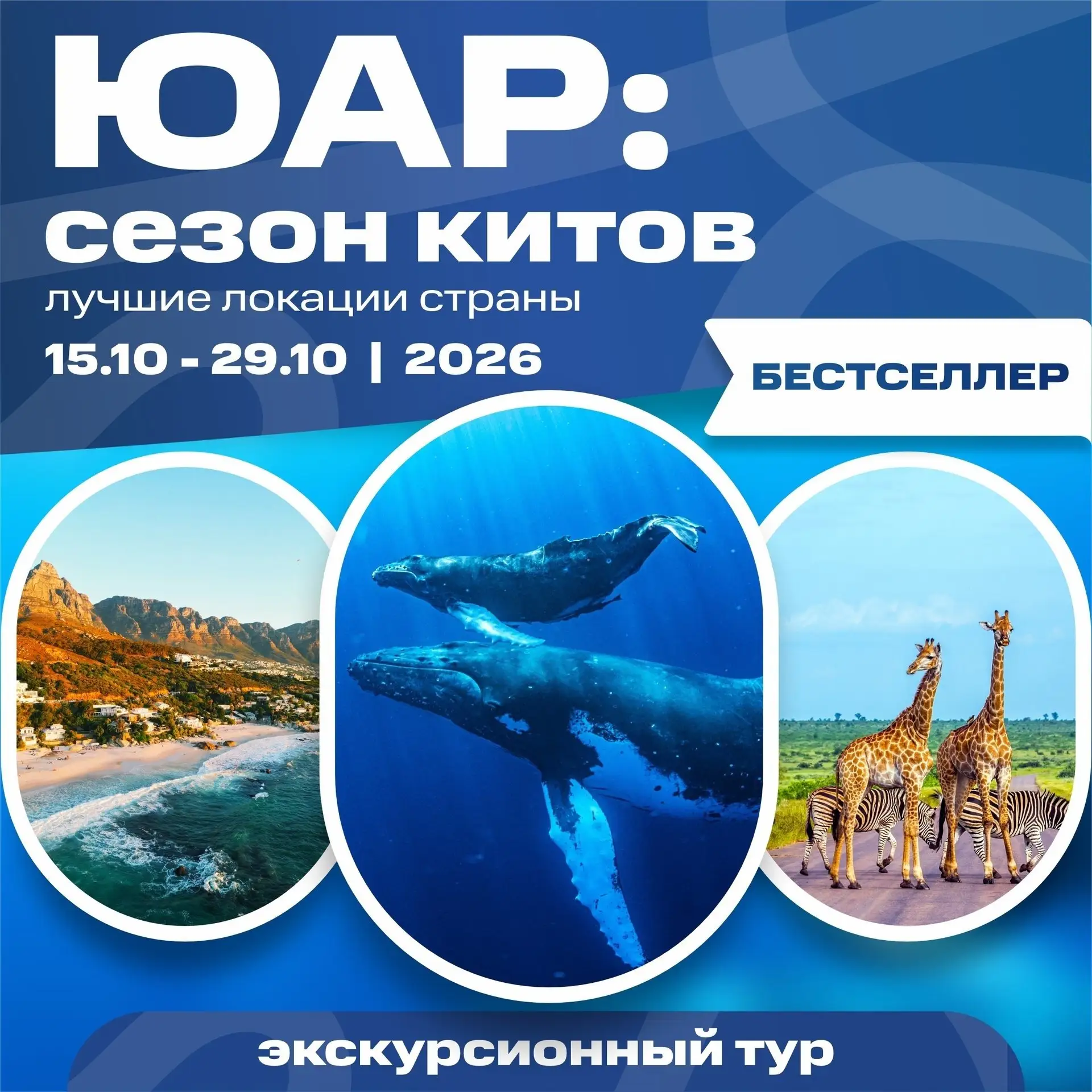 В группе ЮАР: сезон китов 15.10 - 29.10 | 2026 остались последние места

Две недели по Южной Африке 