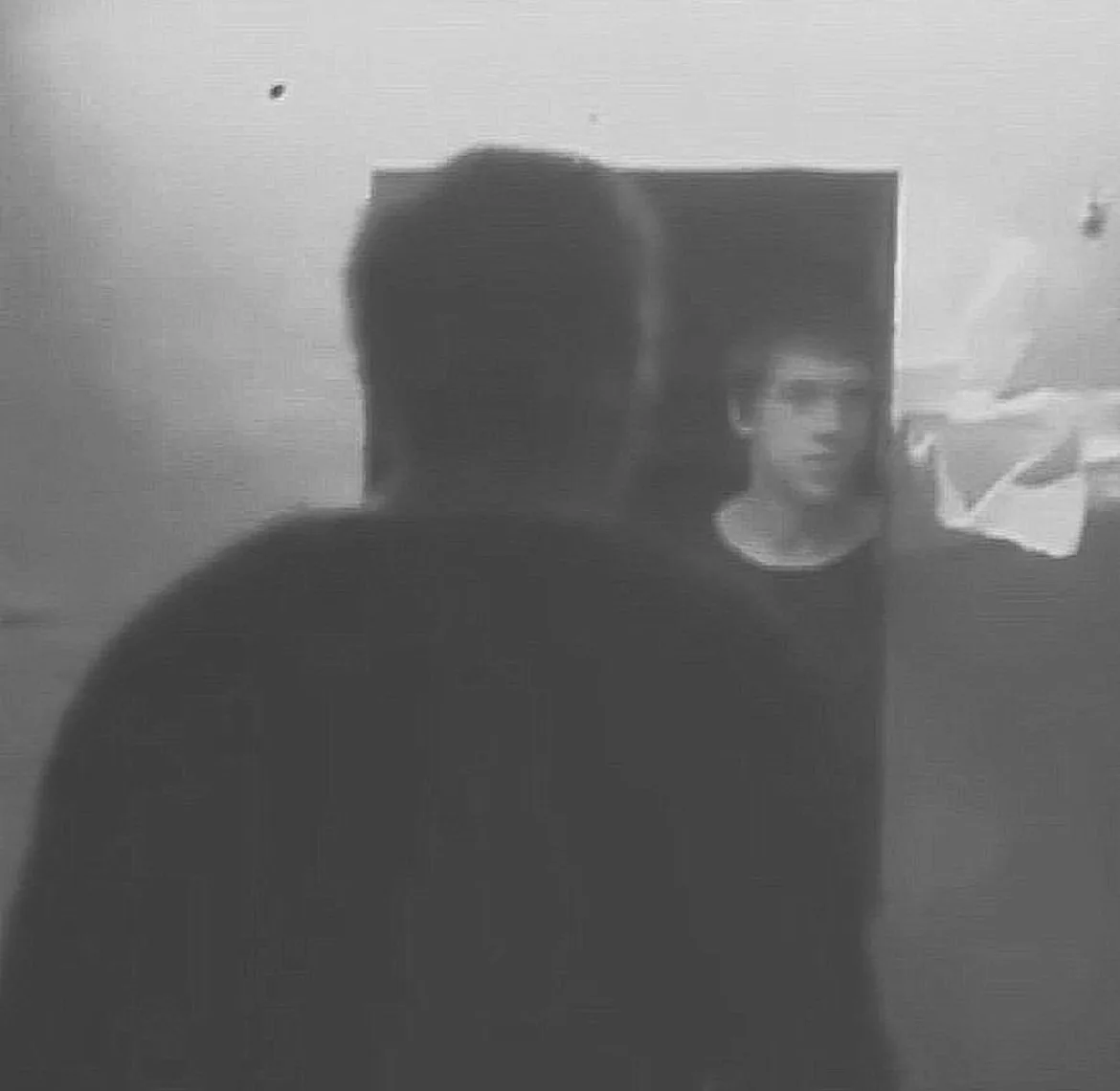Когда Высоцкий умирал,
Слоны кричали.
Луны шершавый минерал 
Белел в печали.

Немецкой кирхи грязный