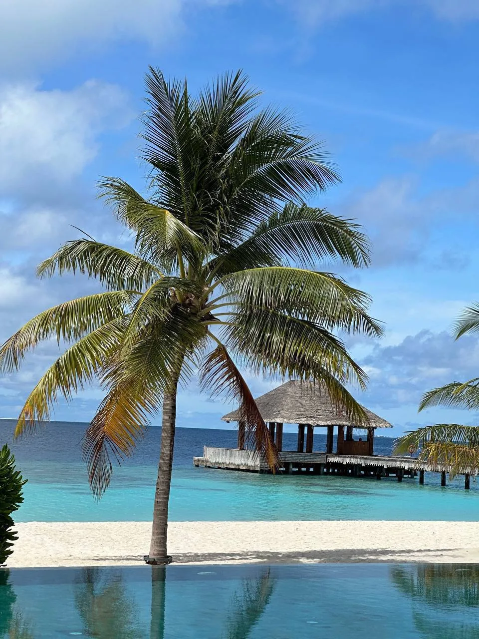 Один из самых уютных отелей Мальдив по классной цене  🩷

Kudafushi Resort 5*

✨Небольшой босоногий 
