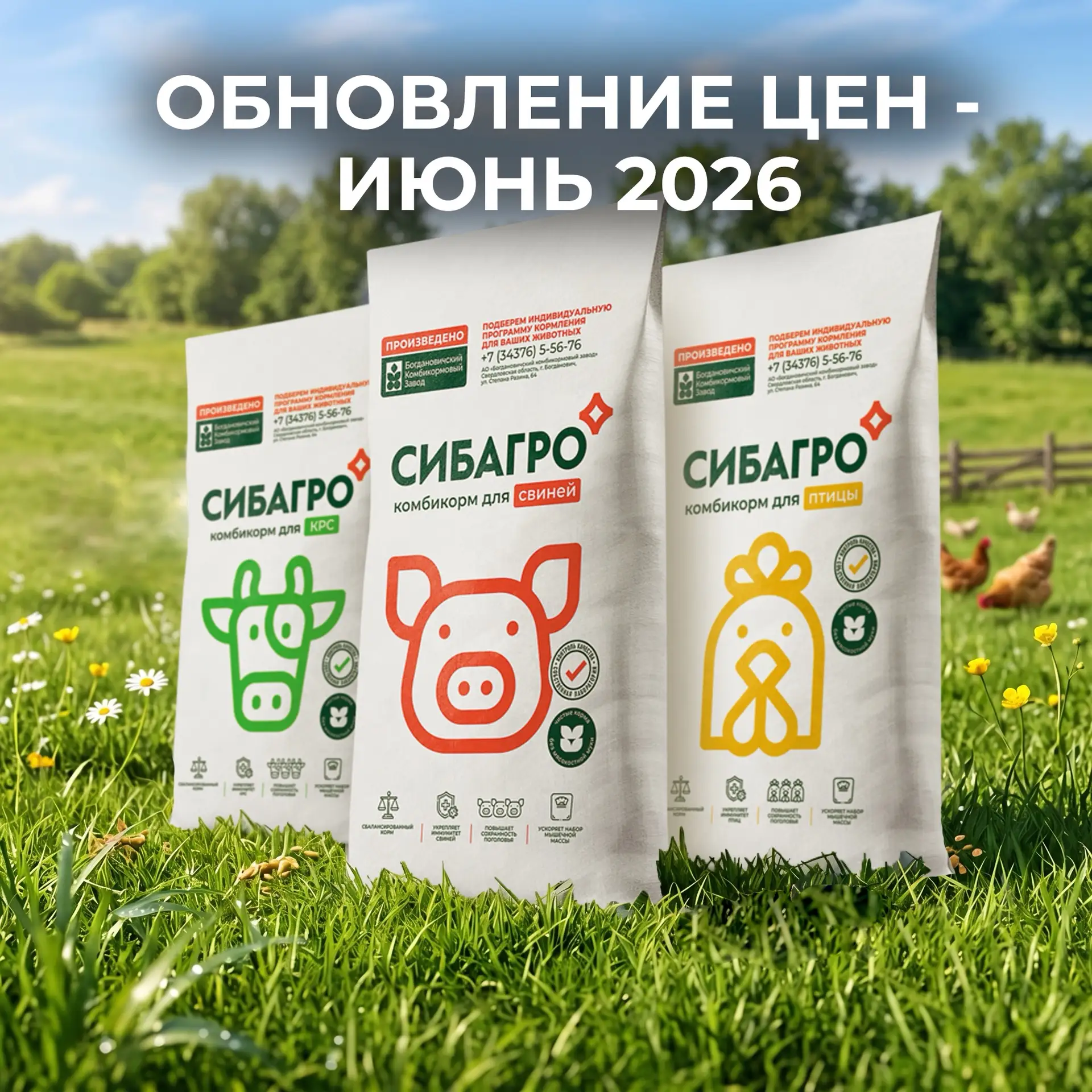Друзья, цены на июнь готовы 📆

Не изменяем правилам - в начале месяца обновляем прайс на свою проду