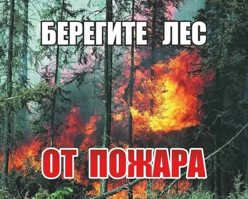Минприроды напоминает о пожаропасном периоде на территории области

В пожароопасный период леса Сара