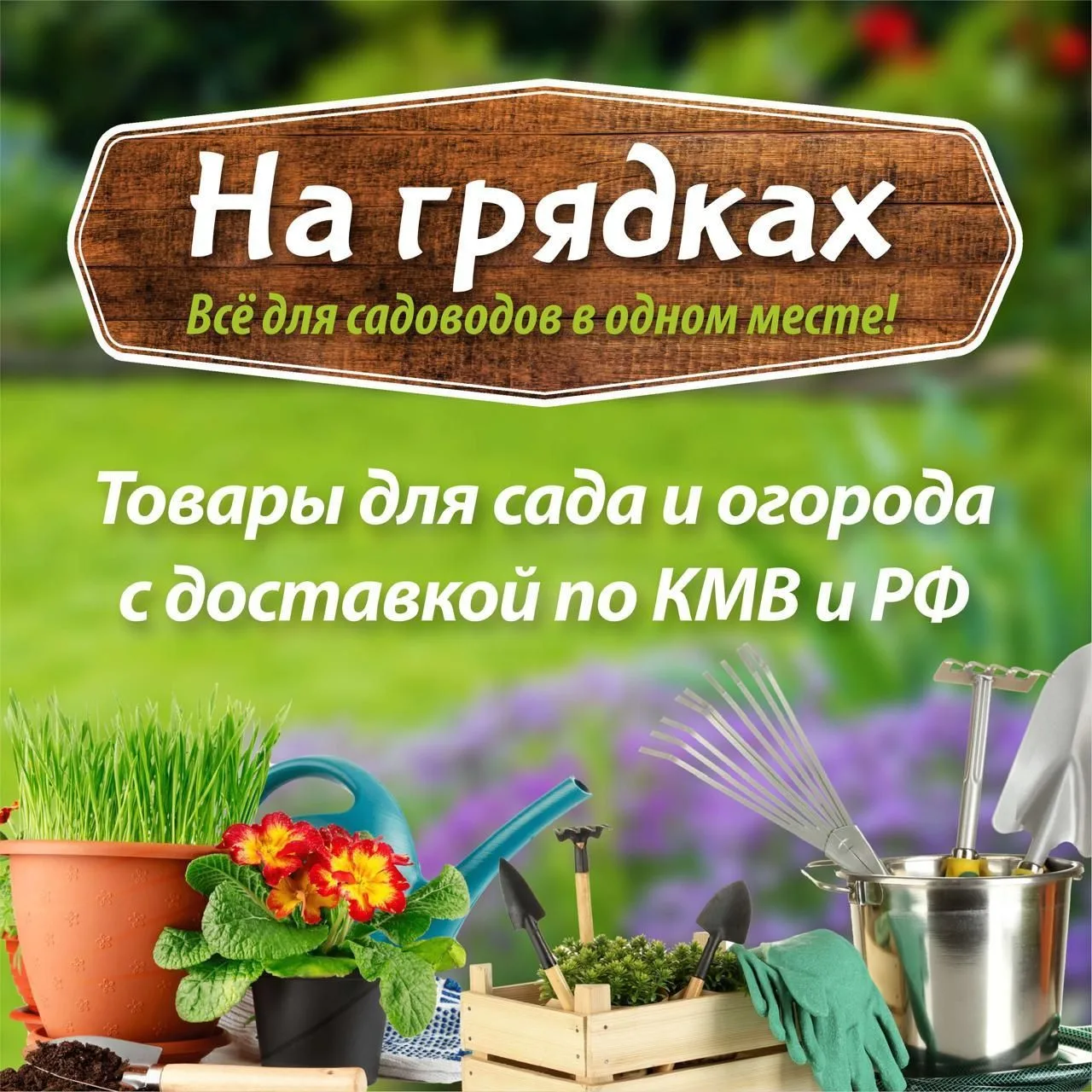 Добрый вечер, дорогие садоводы!
Прошу прощения за то, что в последнее время веду канал не так регуля