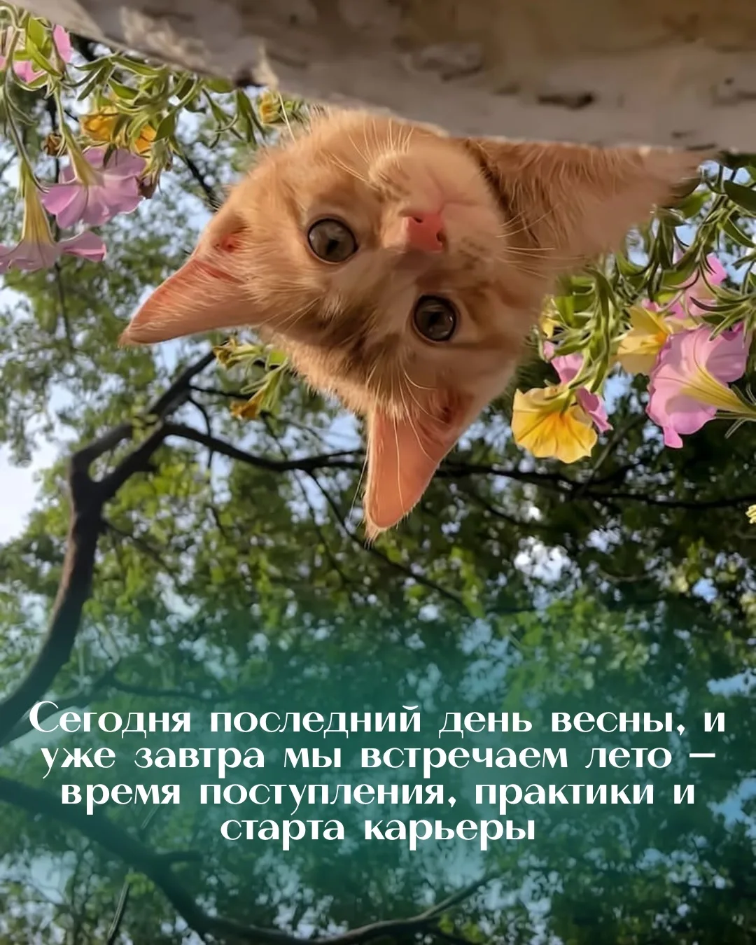 Сегодня последний день весны, и уже завтра мы встречаем лето — время поступления, практики и старта 