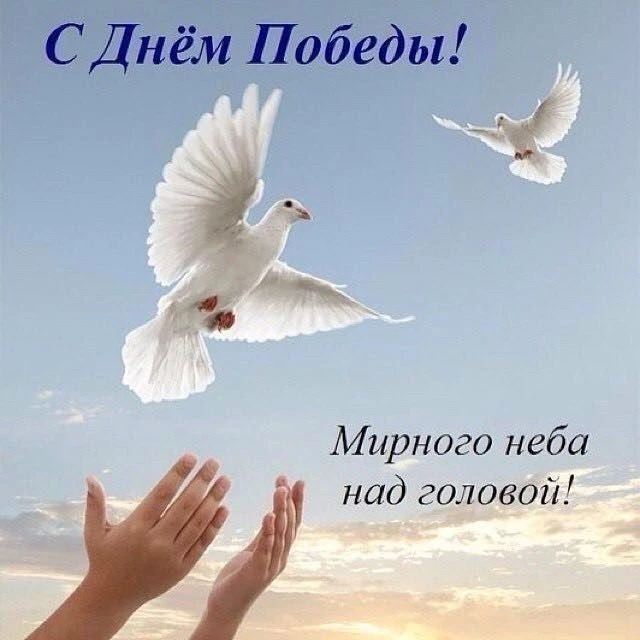 Поздравляю с Днём Великой Победы! Мирного неба над головой❤️🙏