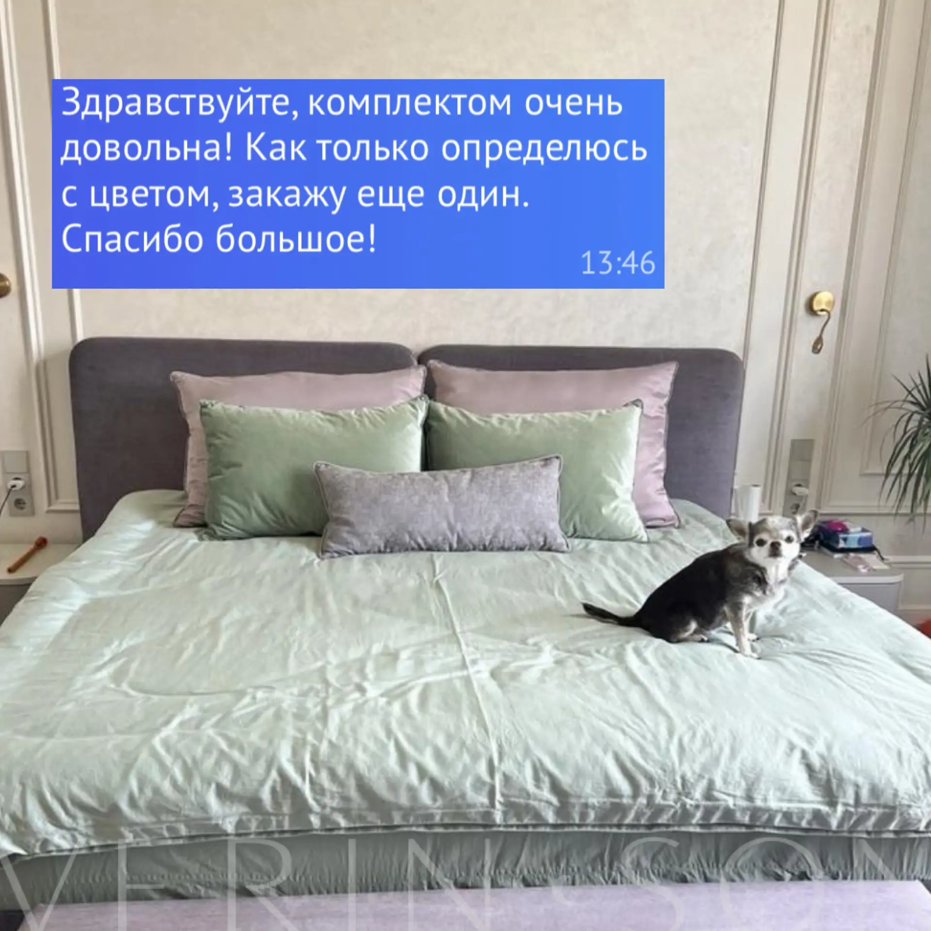 Ваши отзывы - всегда отдельная радость 😍

А фотографии с пушистиками я готова пересматривать по нес