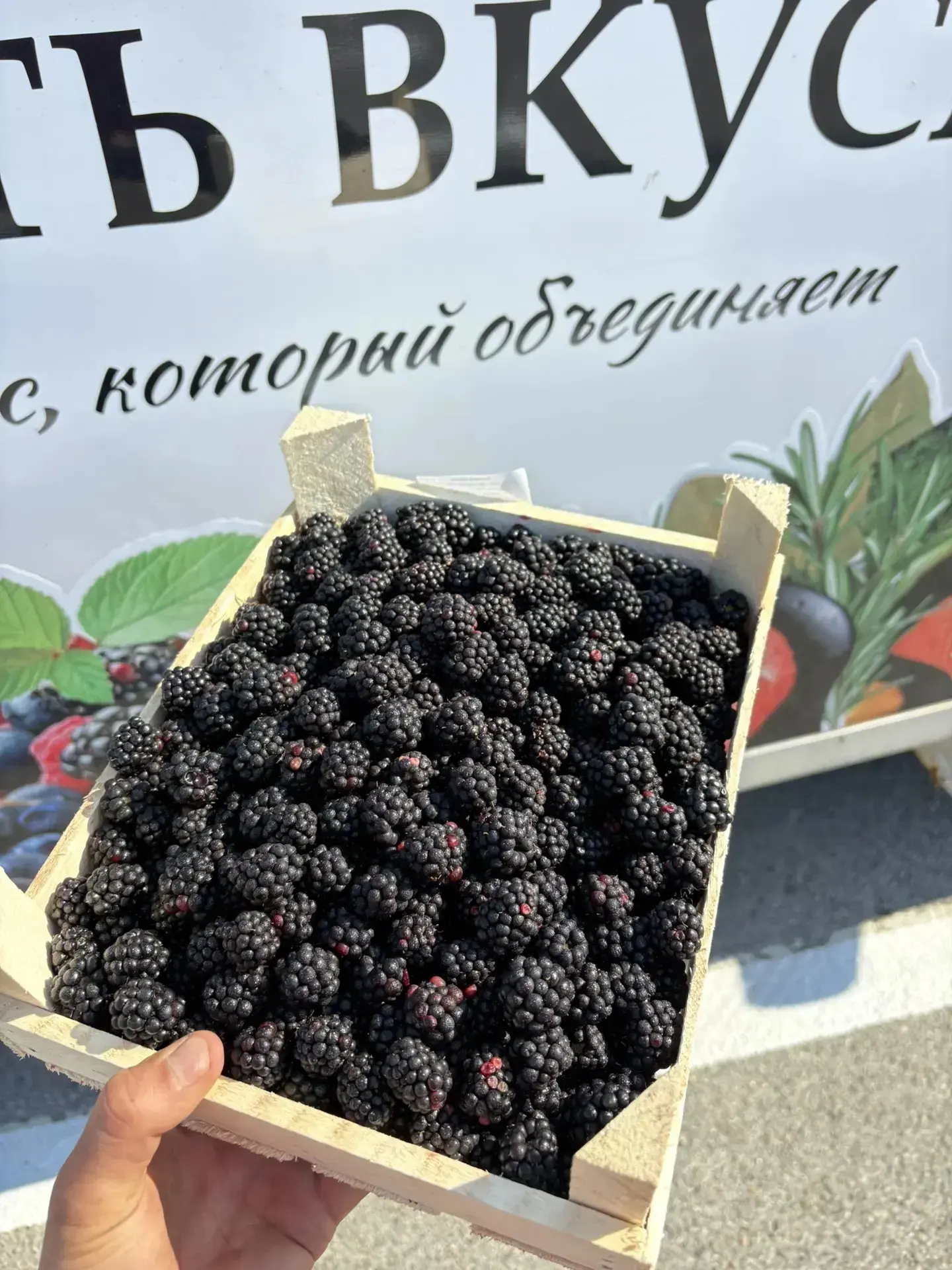 Сегодня ещё в продаже🔥 

💜 ЕЖЕМАЛИНА - на вкус малина +нотки ежевики
Вес: 1.8-2кг
Цена:2000₽

В оч