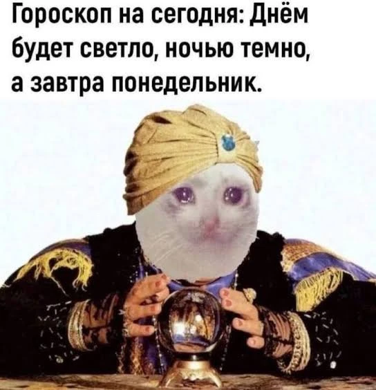 Казалось я отлично вас всех знаю, дорогая аудитория…
Как же я ошибалась!
Написала в телеге про горос