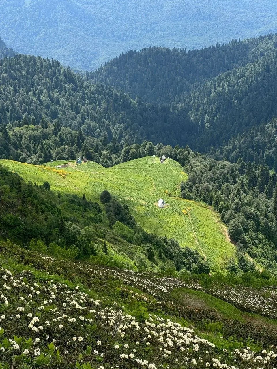 ⛰️ Хребет Аибга, Черная Пирамида: сердце сочинских гор
Хребет Аибга растянулся на 20 с лишним км, об