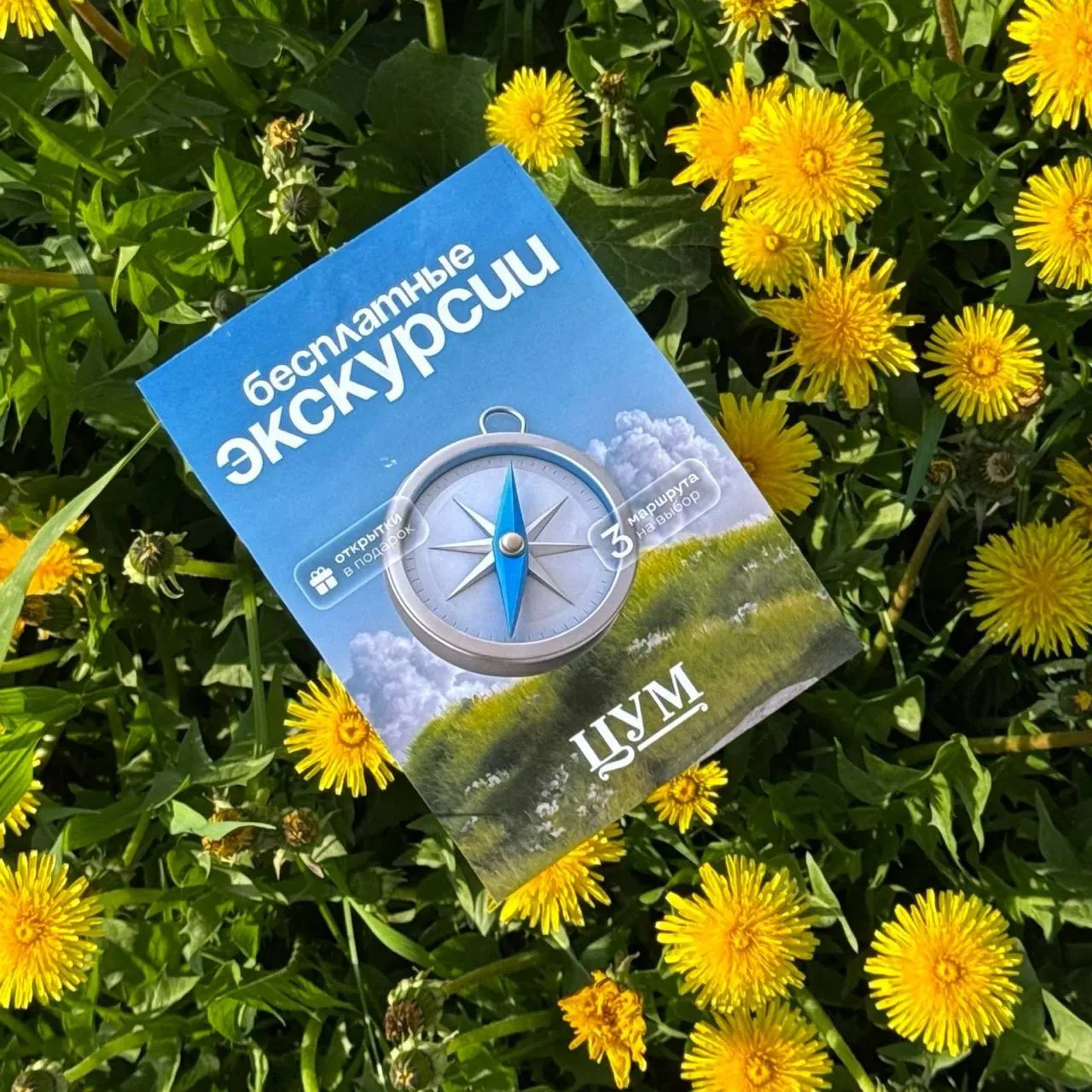 ☀️Завтра экскурсия «Нетипичный маршрут» — 23 июня в 11:00 и 15:00

❗️Осталось немного мест, успевайт