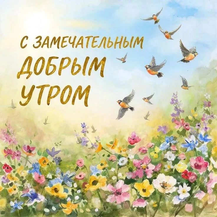 Доброе утро, соседи!

Сегодня переменная облачность, дожди. Температура +18…+23 градуса.

Сегодня Ме