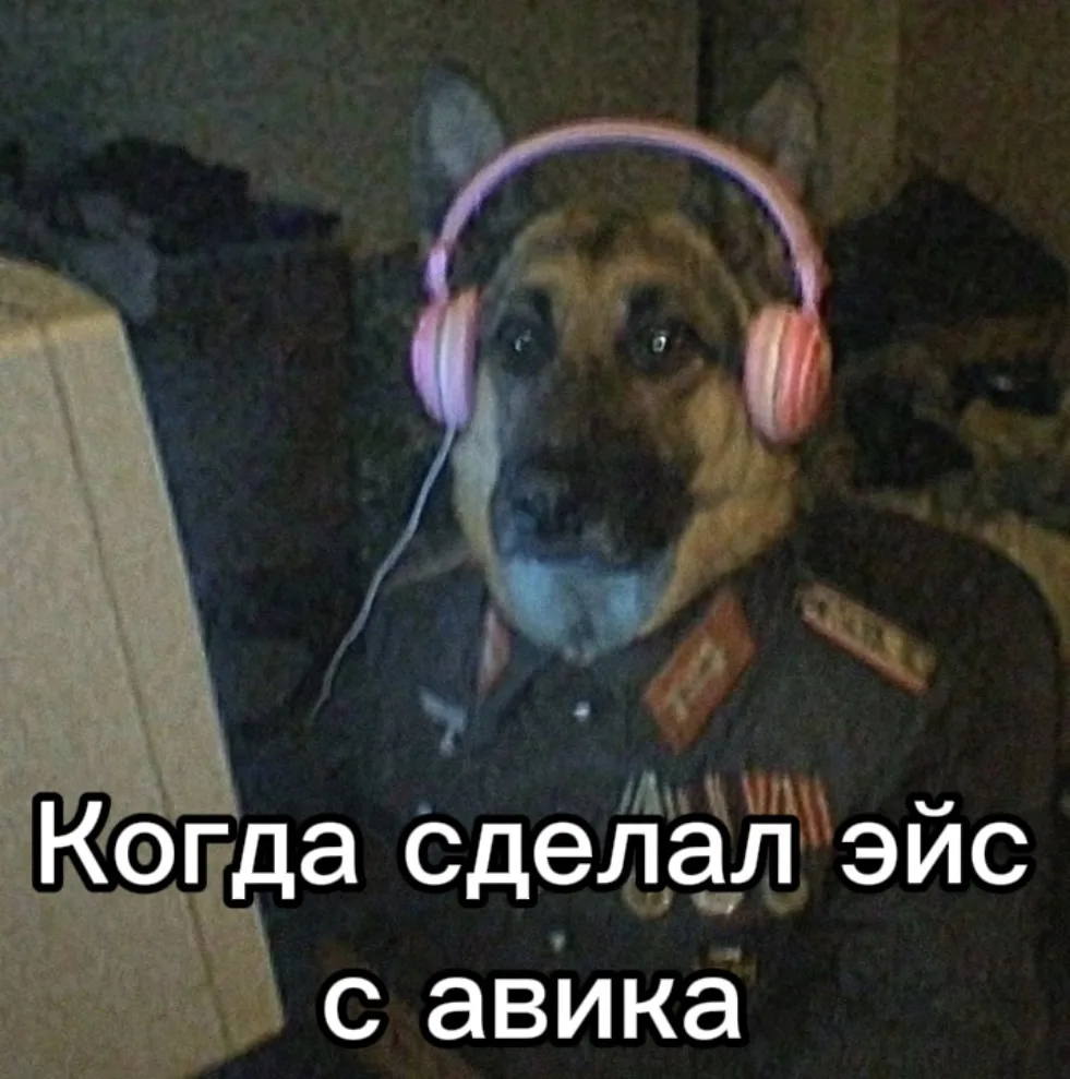 Да-да, все мы такие 🐶

(Мэмчек Георгия оказался самым залайканым, поздравляем! Все остальные тоже к