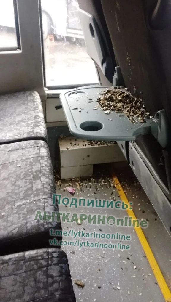 Водитель может и не видеть, а вот пассажиры, сидящие рядом, должны делать замечания таким свиньям?

