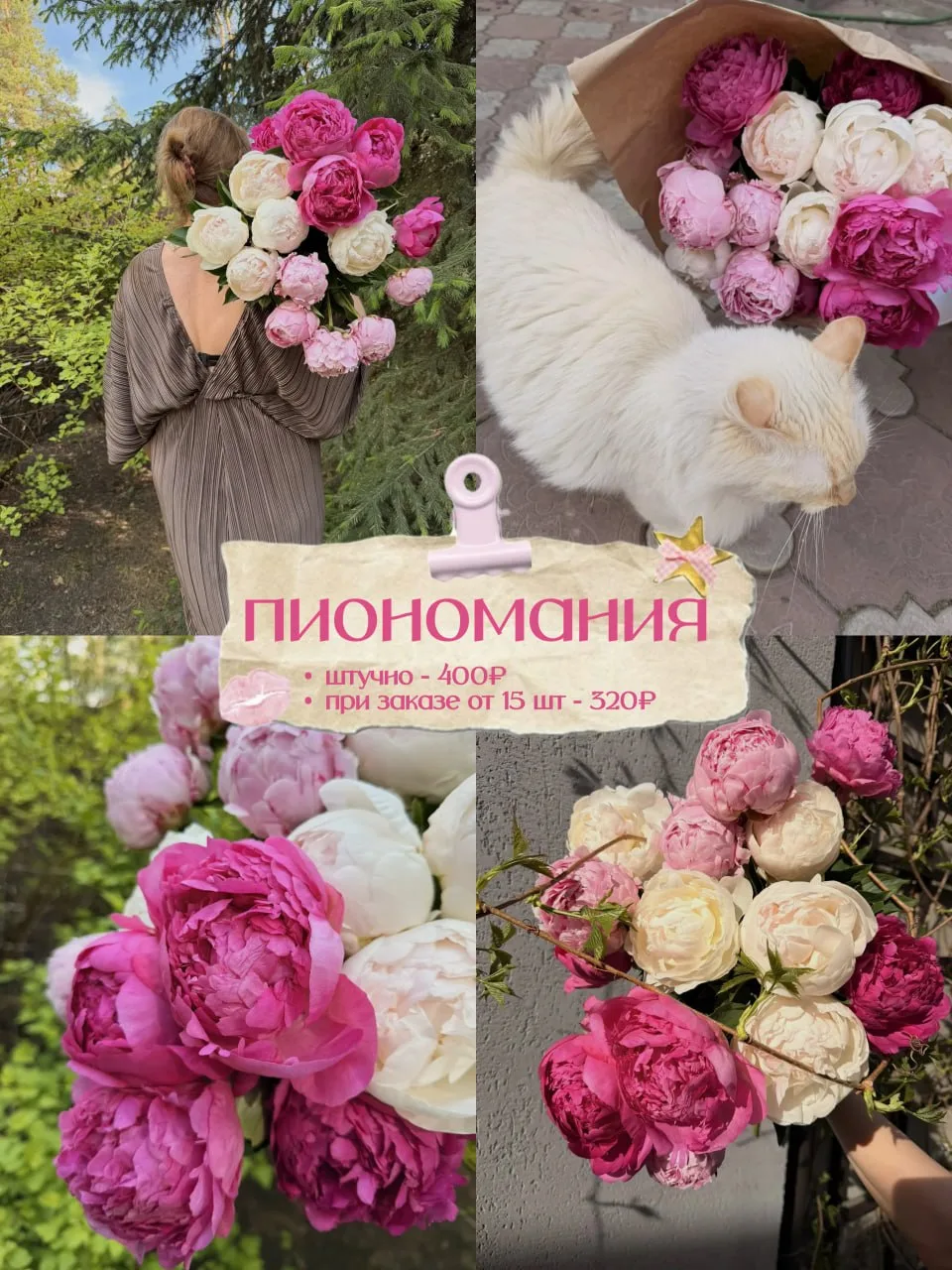 🌸 ПИОНОМАНИЯ НАЧАЛАСЬ! 🌸

Они появляются внезапно, как чувство, от которого замирает сердце..и так