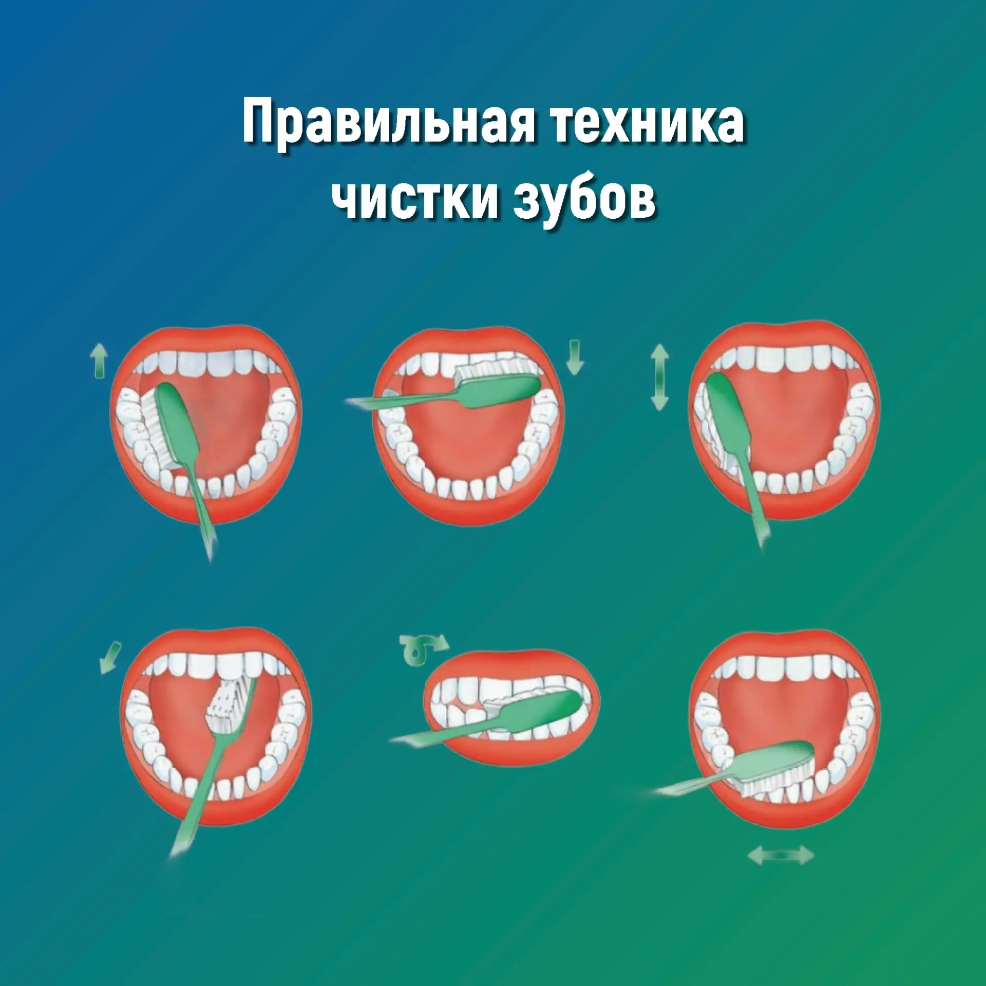 🦷 Неделя ответственного отношения к здоровью полости рта

Здоровье полости рта — это не только крас