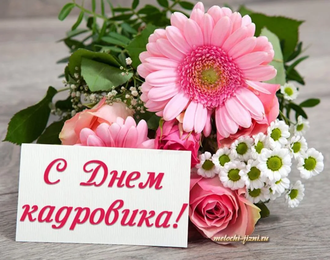 Добрый день, уважаемые коллеги! С профессиональным праздником! ⚘⚘⚘ Успехов, удачи, мира, радости и б
