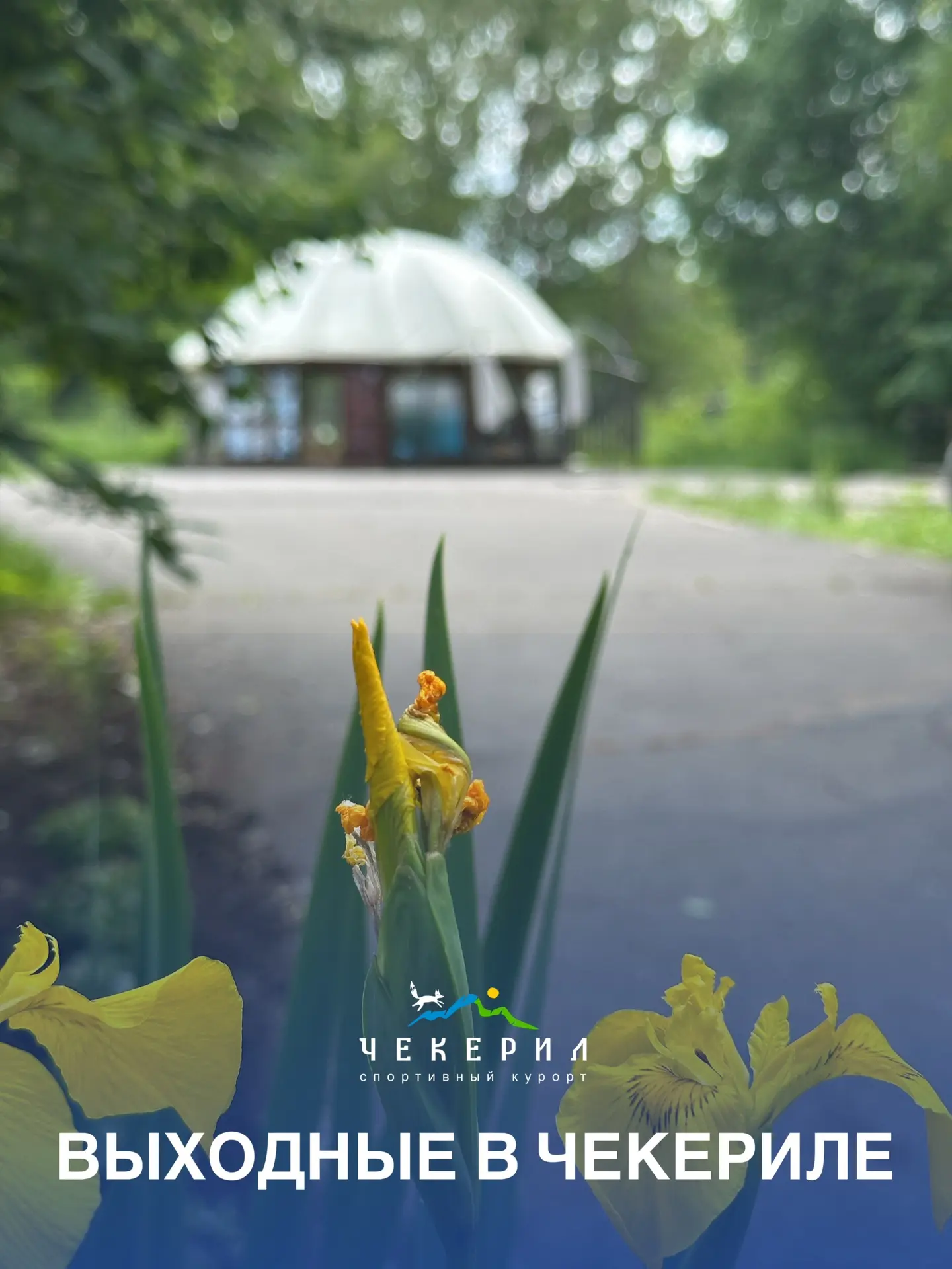 🌸 Приглашаем Вас отдохнуть на выходных в нашем спортивном комплексе Чекерил!

Выбирайте свой подход