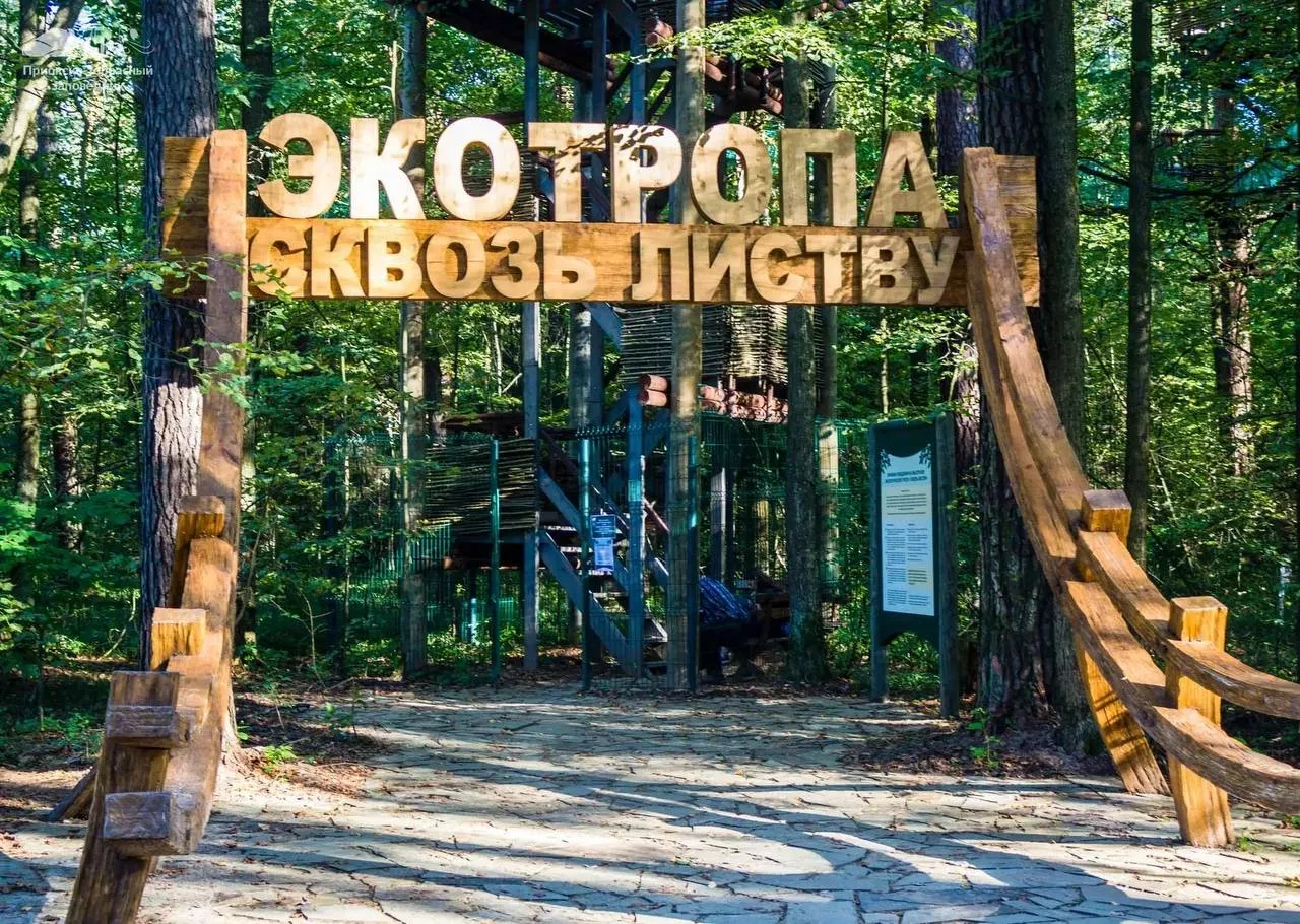 🌿Сквозь листву

 В Приокско-Террасном заповеднике есть высотная экотропа «Сквозь листву». Это Уника
