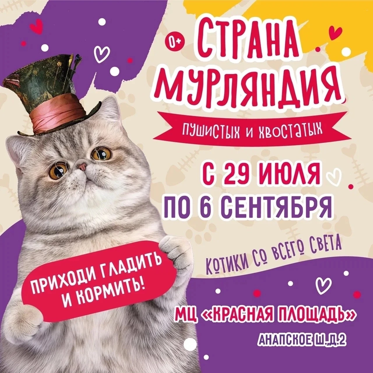 🐾 НОВОРОССИЙСК — К ВАМ ЕДУТ КОТИКИ! 🐱🧡
  
  С 29 июля по 6 сентября в вашем городе работает
  сем