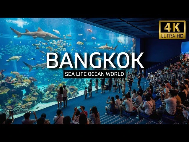 Бангкок: SEA LIFE Bangkok Ocean World - внутри крупнейшего аквариума Таиланда

Новое видео в ВКвидео