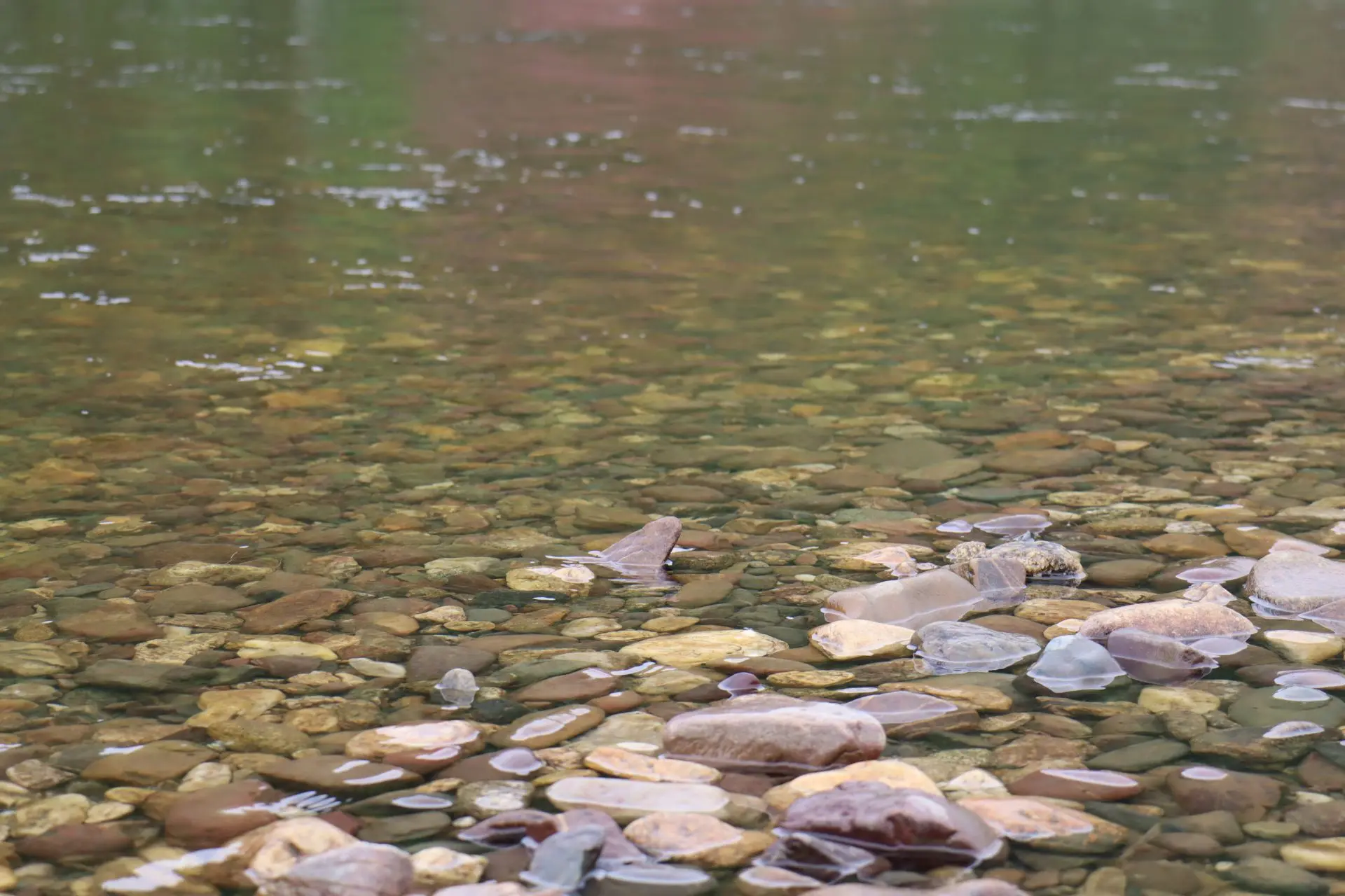#лесной_калейдоскоп

🌊Вода всё уносит…

Почувствуйте умиротворение таёжной реки, которая степенно н