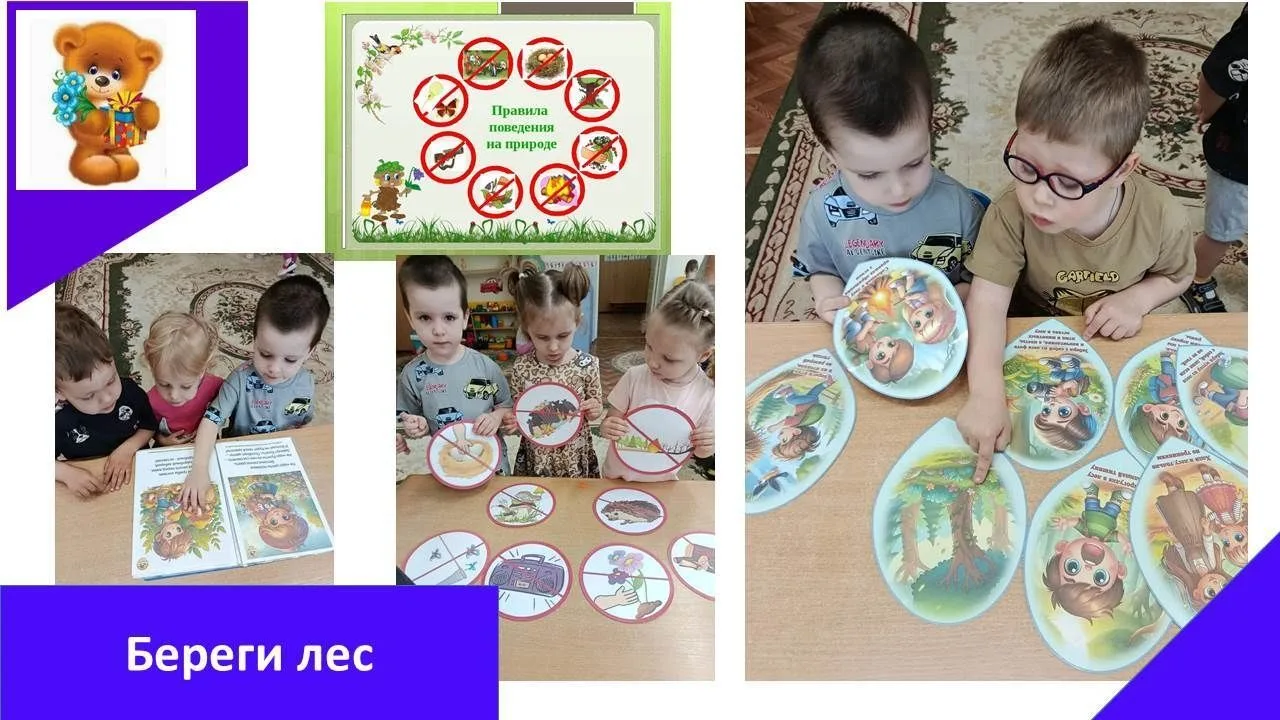 🌳🌲🌲Лес — это не просто место для прогулок, а большой живой дом для множества животных и растений.