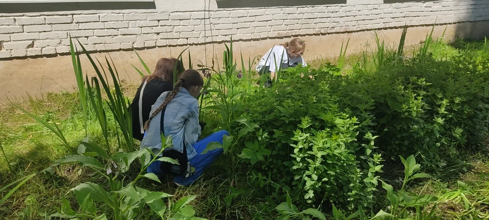 ☀Лето в самом разгаре, а у нас кипит работа! 

Ученики нашего трудового отряда не сидят без дела и а