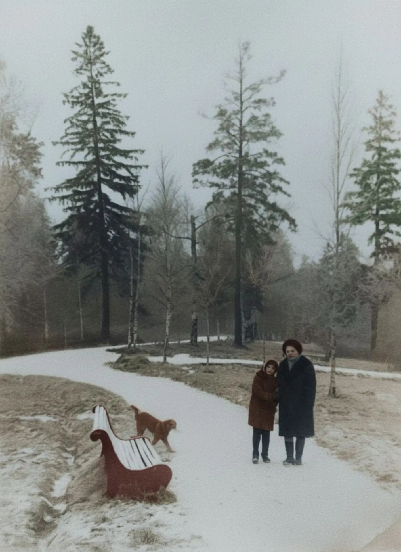 Шуваловский парк, 1973 год.
Фото прислала Ирина Непогодина в краеведческую группу ВК "Первое Парголо