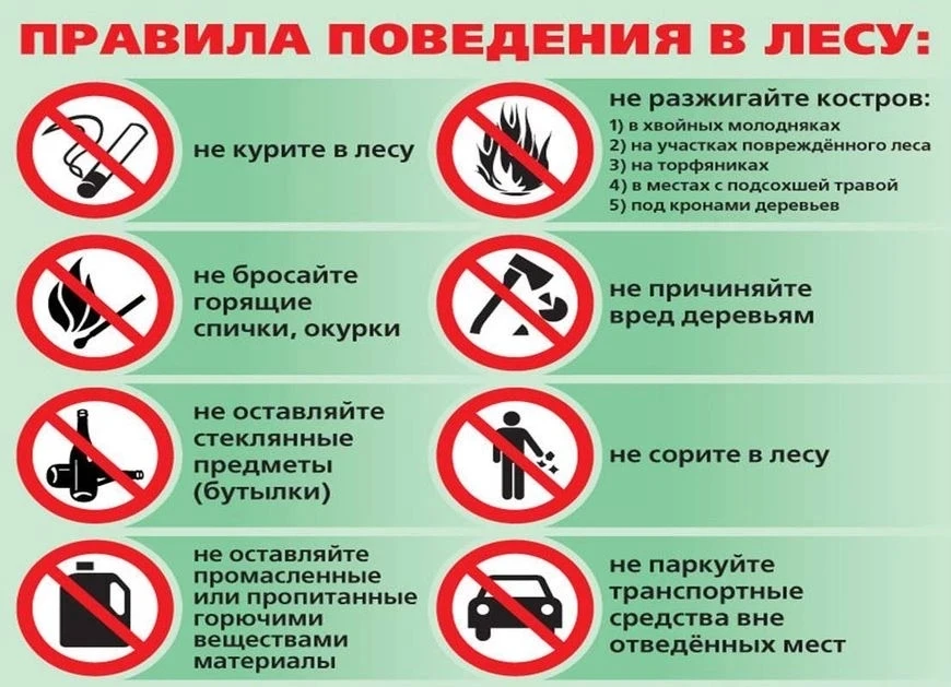 ▎Правила поведения в лесу на каникулах:

1. Не оставляйте мусор:
   – Убирайте за собой и не оставля