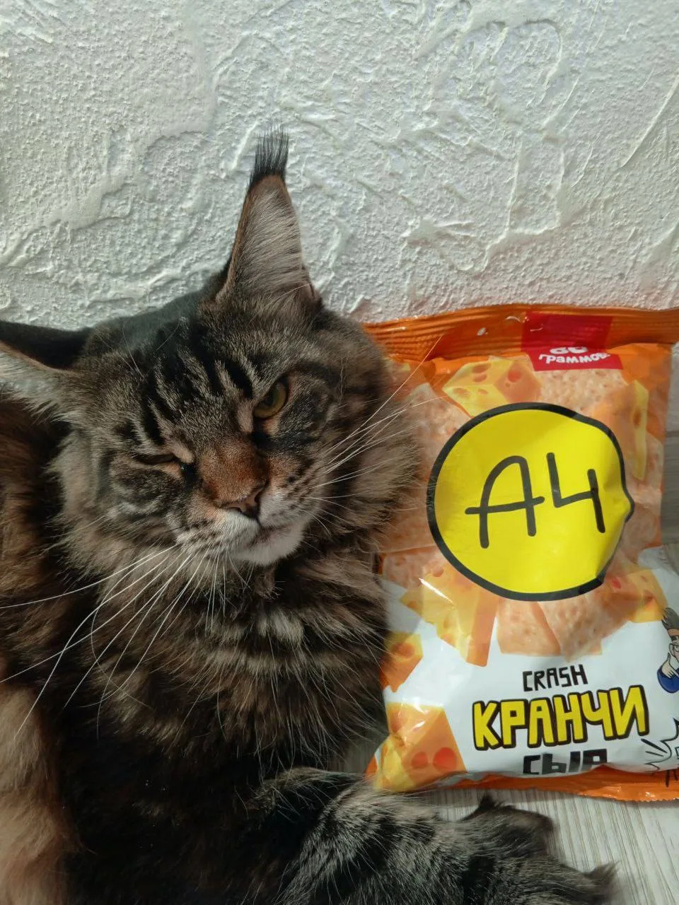 Кто уже пробовал продукцию А4?)

❤️ - яяя  💔 - не я(