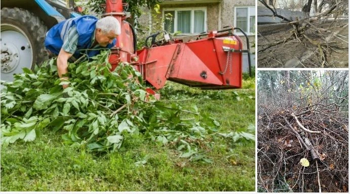 Куда девать ветки после спила? Экологичные решения вместо сжигания и свалки 
Спилили дерево или обре
