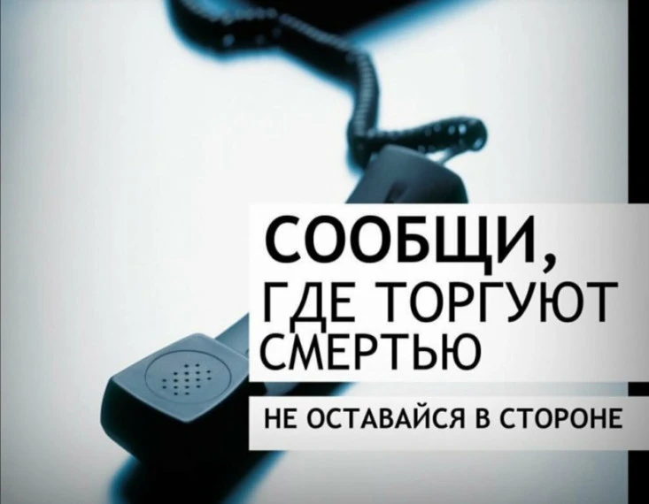 В 2026 году на территории Новгородской области, как и по всей России, проходит акция "Сообщи, где то