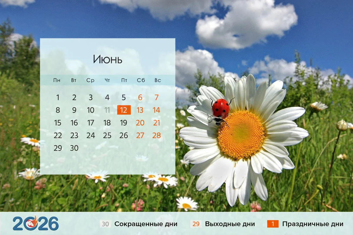 📆Расписание курсов на июнь 2026

15.06.2026
✅Обучение по программе “Стропальщик”
✅Обучение по прогр