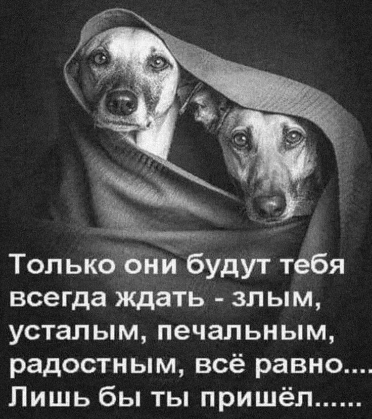 Цитаты жизни