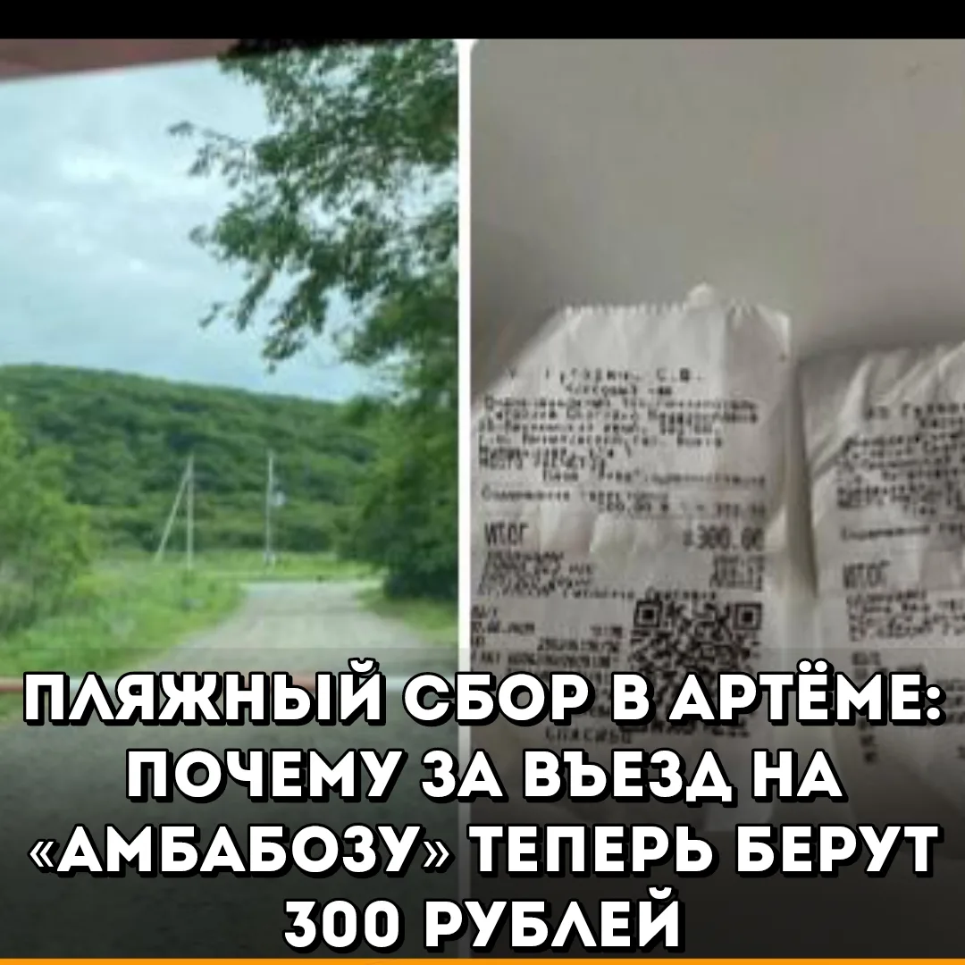 Введение платы за проезд к пляжу «Амбабоза» вызвало волну недовольства среди некоторых жителей Артём