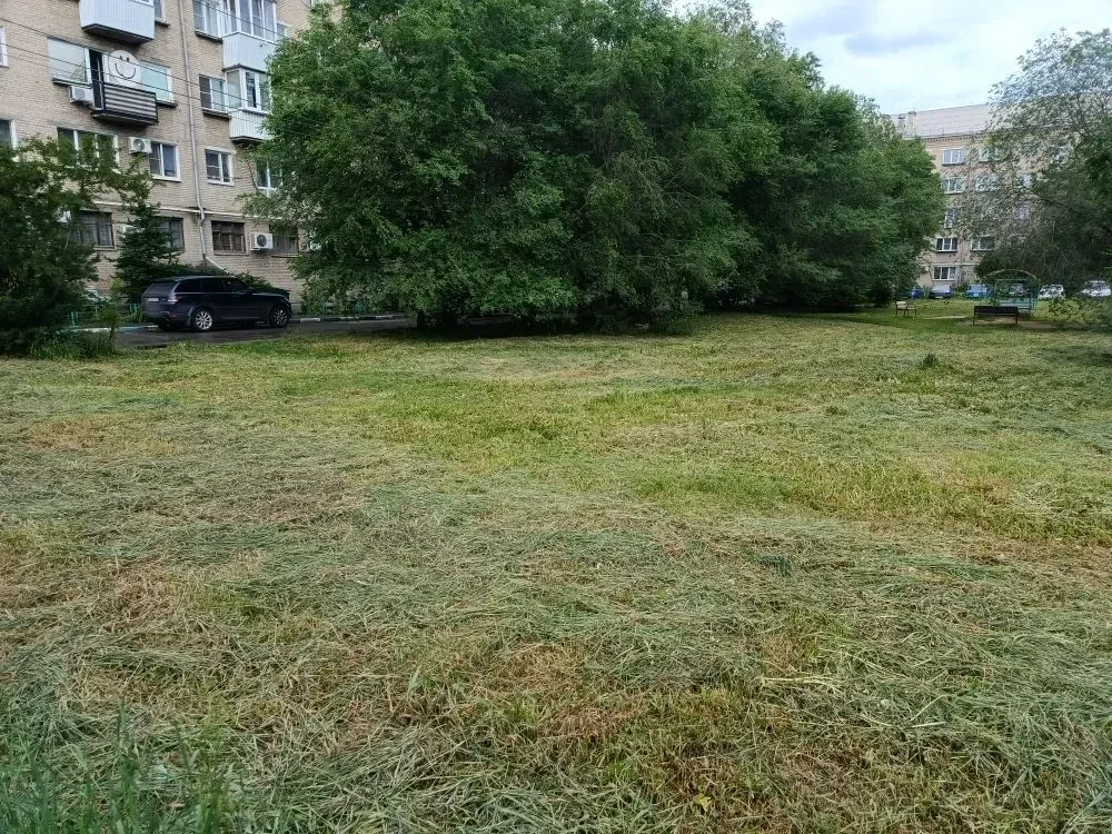 Привет, дорогие соседи! ☀️Хотим поделиться с вами небольшой сводкой с «фронта» благоустройства: по в