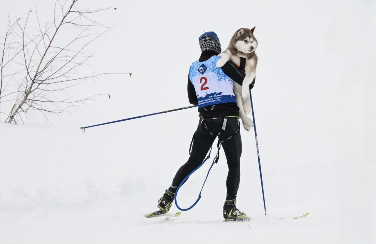 ⛷На ручках прямо к финишу

Участник первенства Новосибирской области по снежным дисциплинам ездового