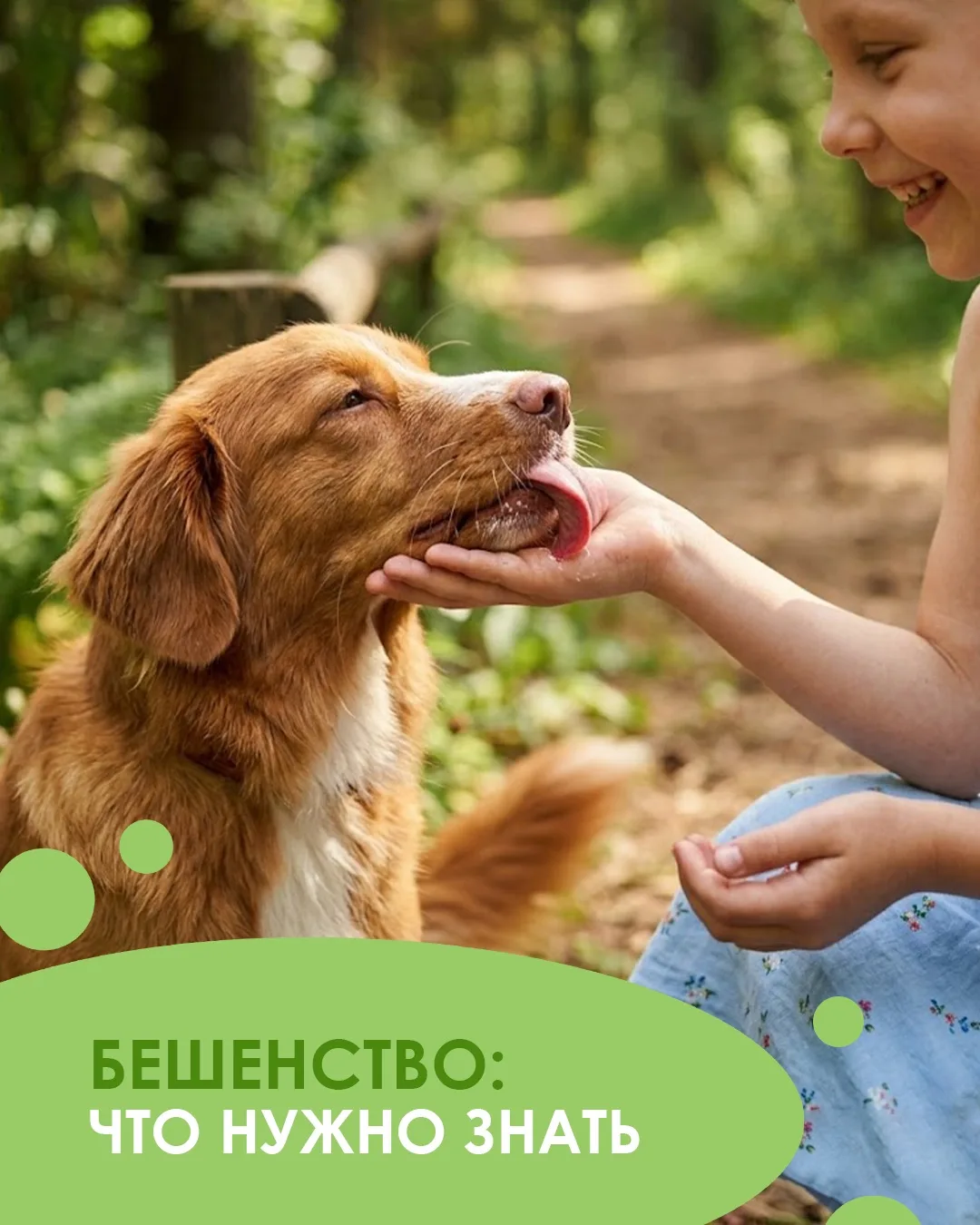 Бешенство - смертельно опасное вирусное заболевание, поражающее нервную систему. После появления сим
