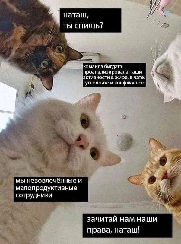 Продуктивного понедельника, коллеги!