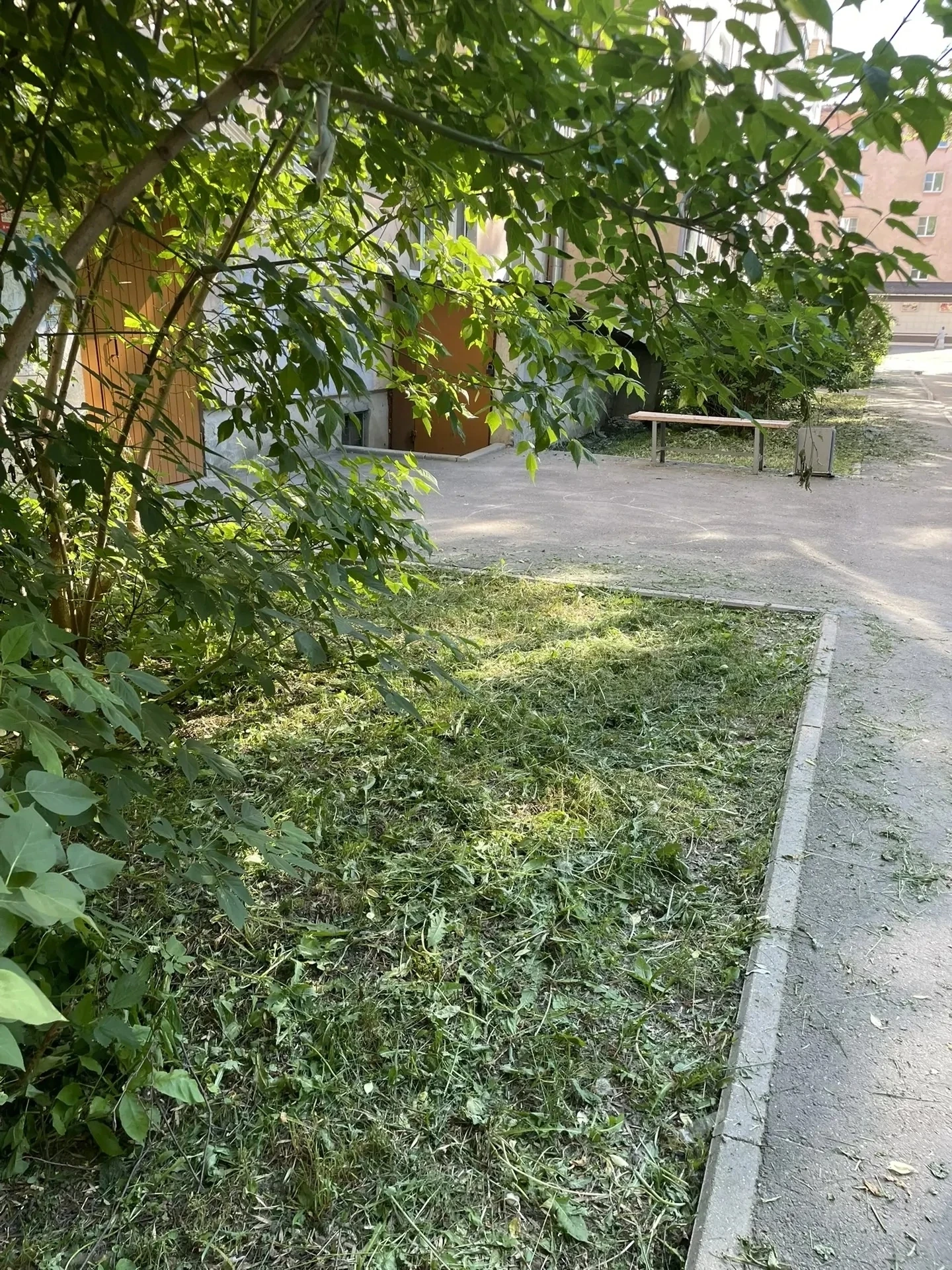 Произведен покос травы по ул. Солодунова, д. 56