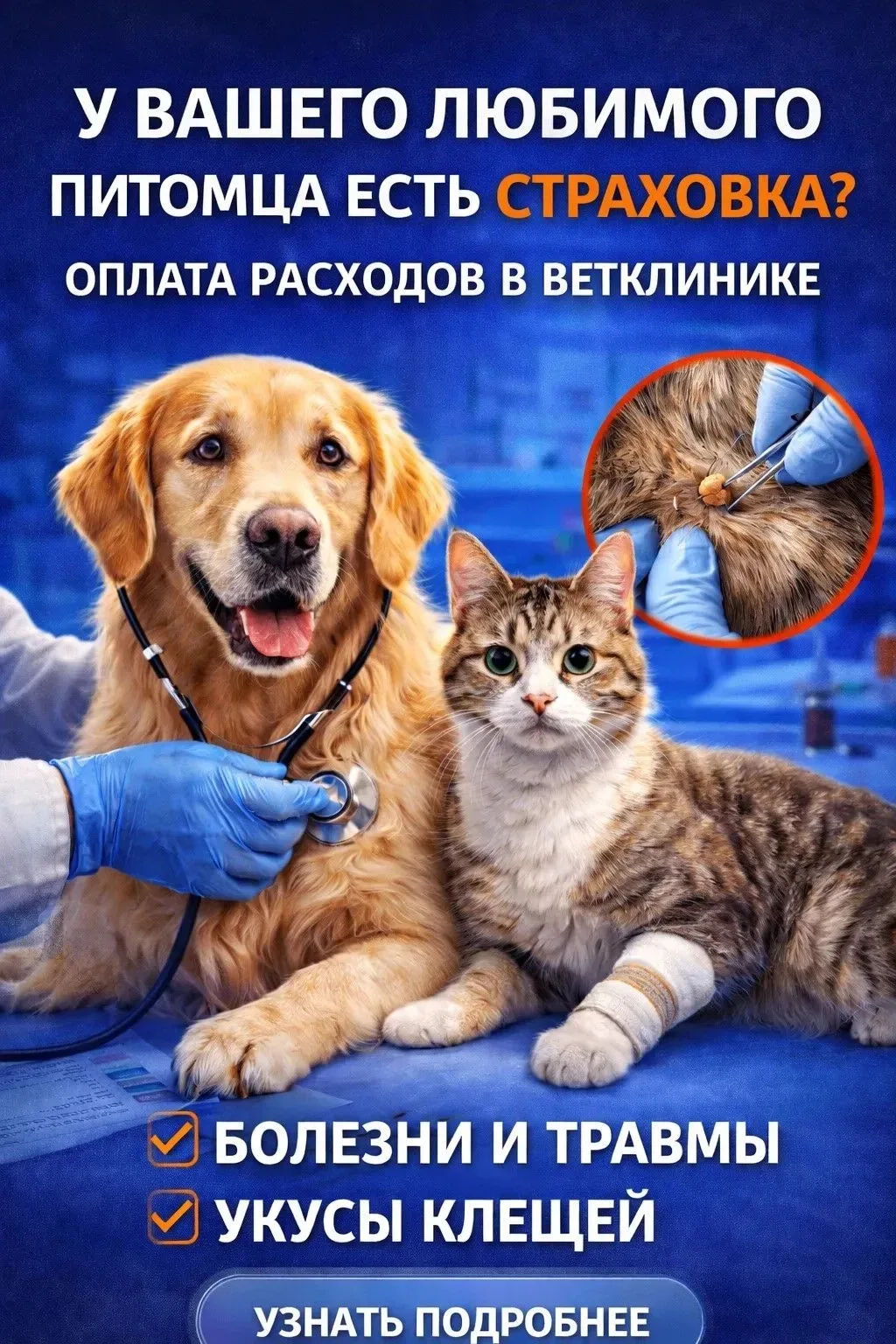 ДМС для домашних животных 🐱🐶                                                                      