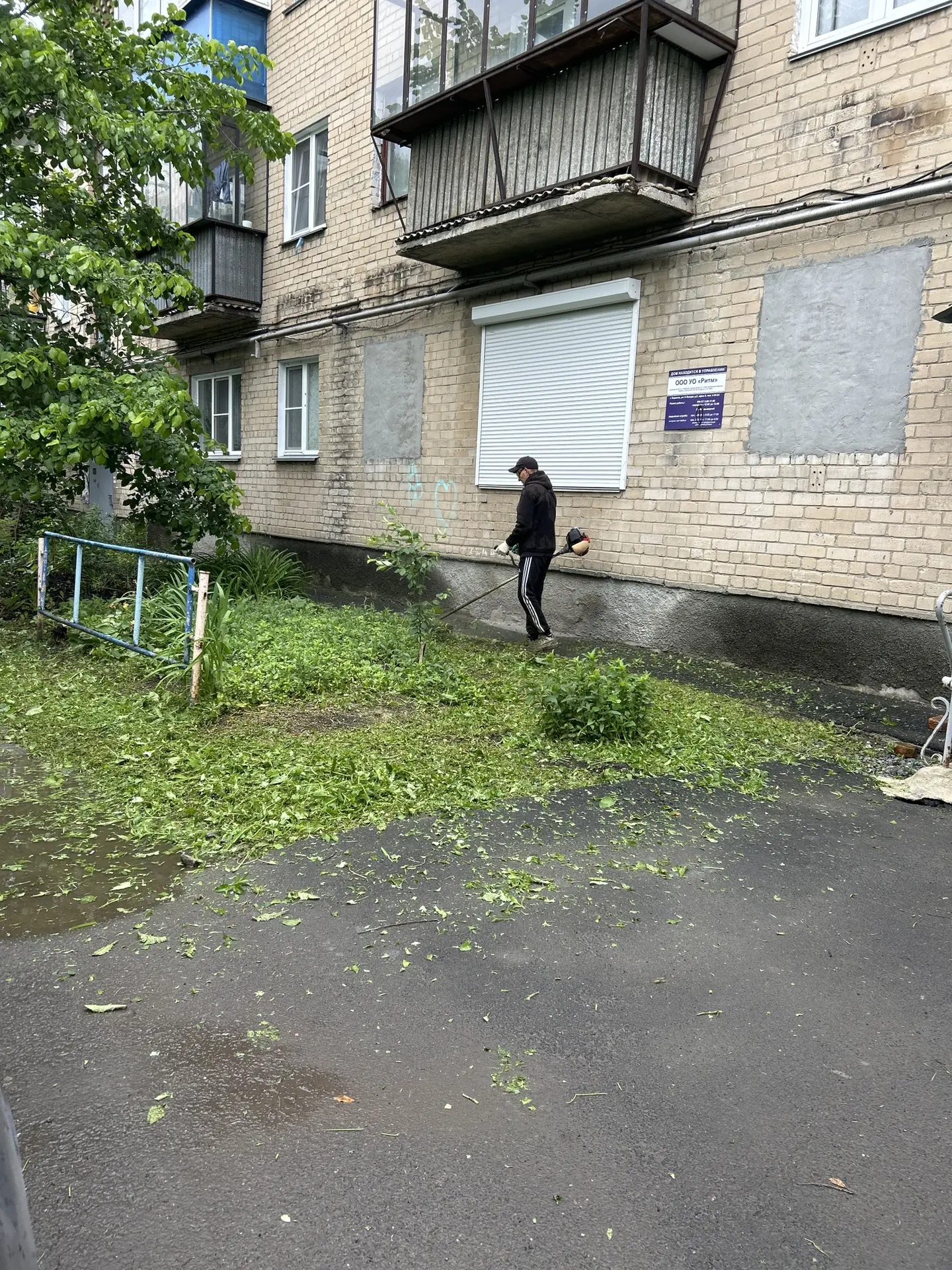Покос продолжается.. 
9 января 32,30,28
Мира 37,35
🙏Надеемся на понимание жителей и ☀️благосклоннос
